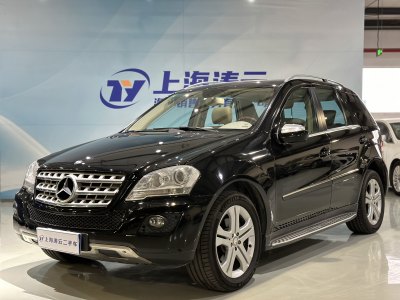 2010年6月 奔馳 奔馳M級(jí)(進(jìn)口) ML 350 4MATIC豪華型圖片