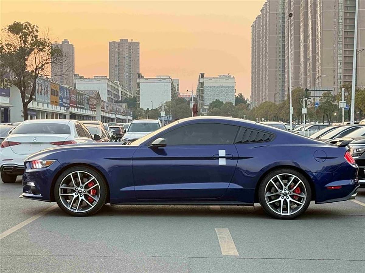 福特 Mustang  2015款 2.3T 性能版圖片