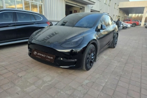 Model Y 特斯拉 改款 Performance高性能全輪驅(qū)動(dòng)版