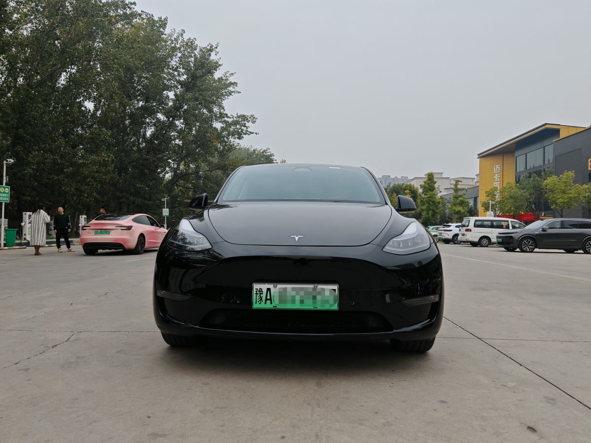 特斯拉 Model Y  2021款 改款 Performance高性能全輪驅(qū)動版圖片