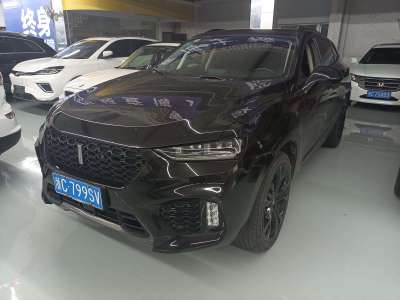 2019年6月 WEY VV7 升级款 2.0T 豪华型图片