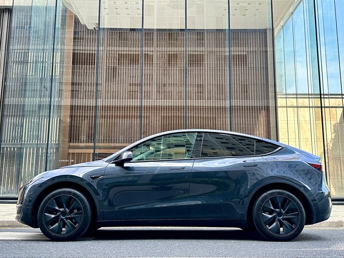 特斯拉 Model Y  2020款 改款 長續(xù)航后輪驅(qū)動(dòng)版圖片