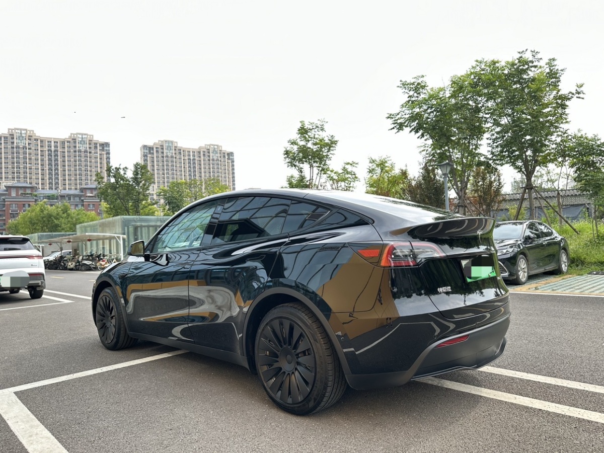 特斯拉 Model 3  2021款 標(biāo)準(zhǔn)續(xù)航后驅(qū)版圖片