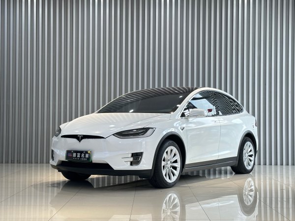 特斯拉 Model X  2019款 长续航版