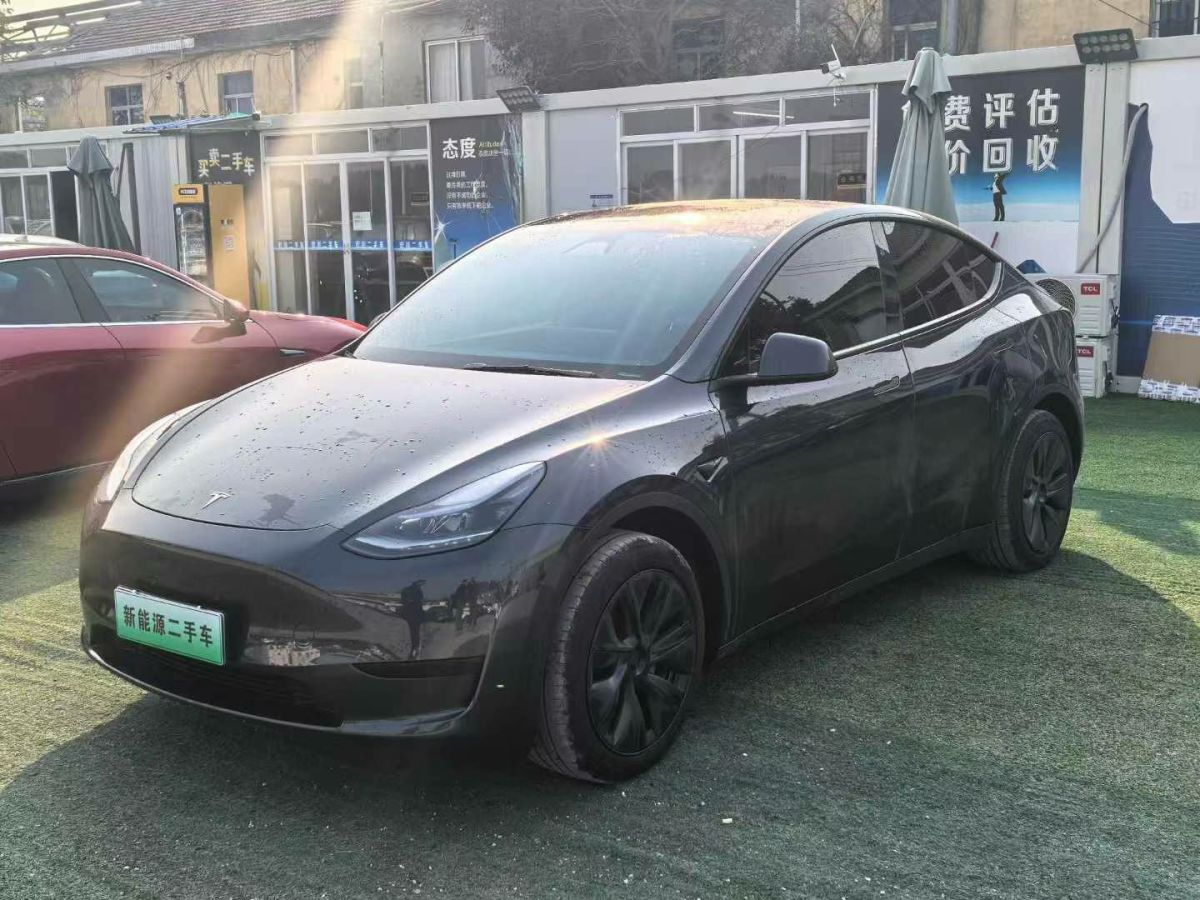 特斯拉 Model Y  2024款 Performance高性能版圖片