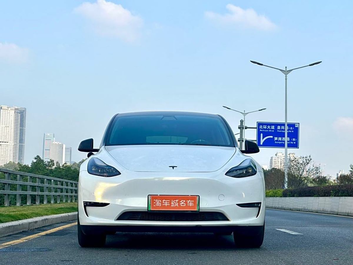 特斯拉 Model 3  2021款 改款 標(biāo)準(zhǔn)續(xù)航后驅(qū)升級(jí)版圖片