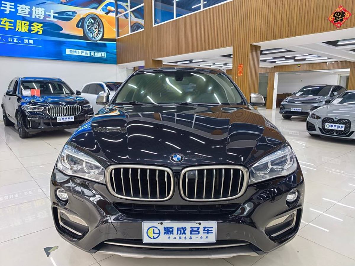 寶馬 寶馬X6  2018款 xDrive35i 領(lǐng)先型圖片