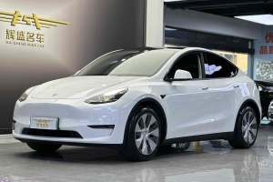 Model Y 特斯拉 改款 标准续航后驱升级版