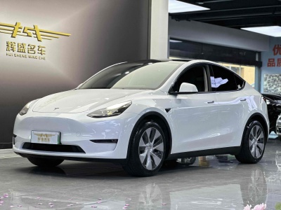 2021年10月 特斯拉 Model Y 改款 標(biāo)準(zhǔn)續(xù)航后驅(qū)升級(jí)版圖片