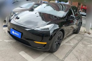 Model Y 特斯拉 改款 后輪驅(qū)動(dòng)版