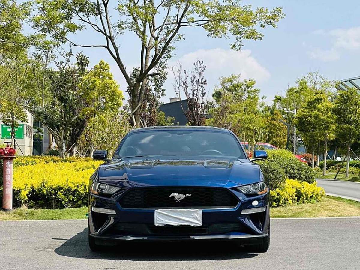 福特 Mustang  2019款 2.3L EcoBoost圖片