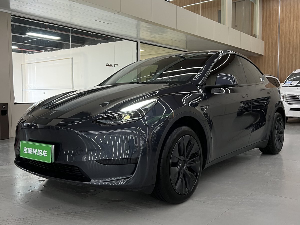 特斯拉 Model 3  2020款 改款 長續(xù)航后輪驅(qū)動(dòng)版圖片