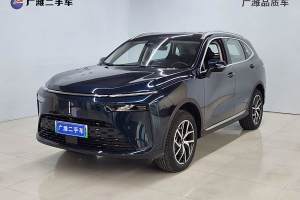 拿铁DHT-PHEV WEY 1.5T 两驱大杯