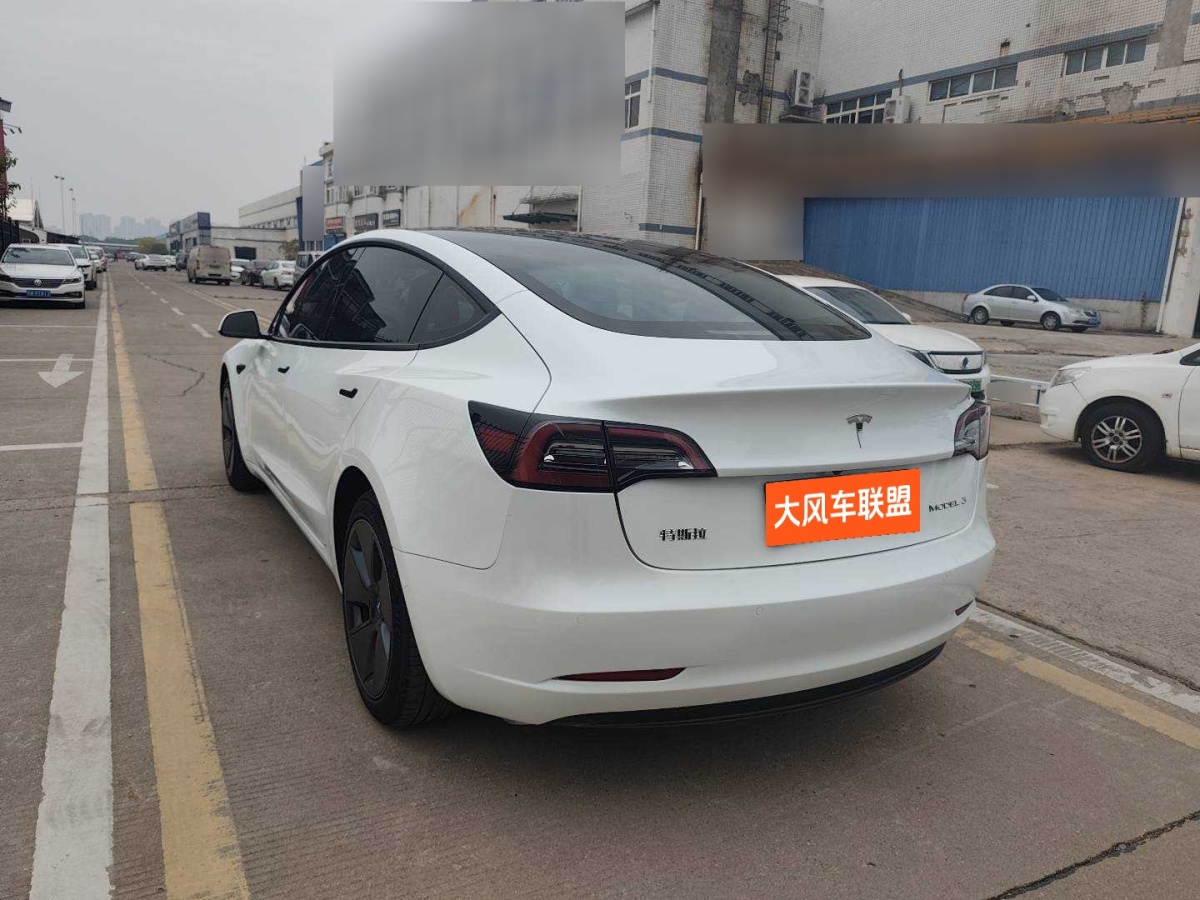 特斯拉 Model 3  2021款 標(biāo)準(zhǔn)續(xù)航后驅(qū)升級(jí)版 3D6圖片