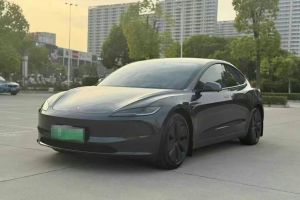 Model Y 特斯拉 Performance高性能版
