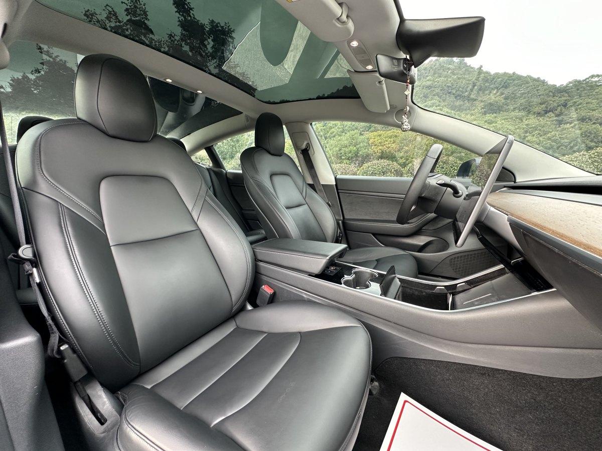 特斯拉 Model 3  2019款 標準續(xù)航后驅(qū)升級版圖片