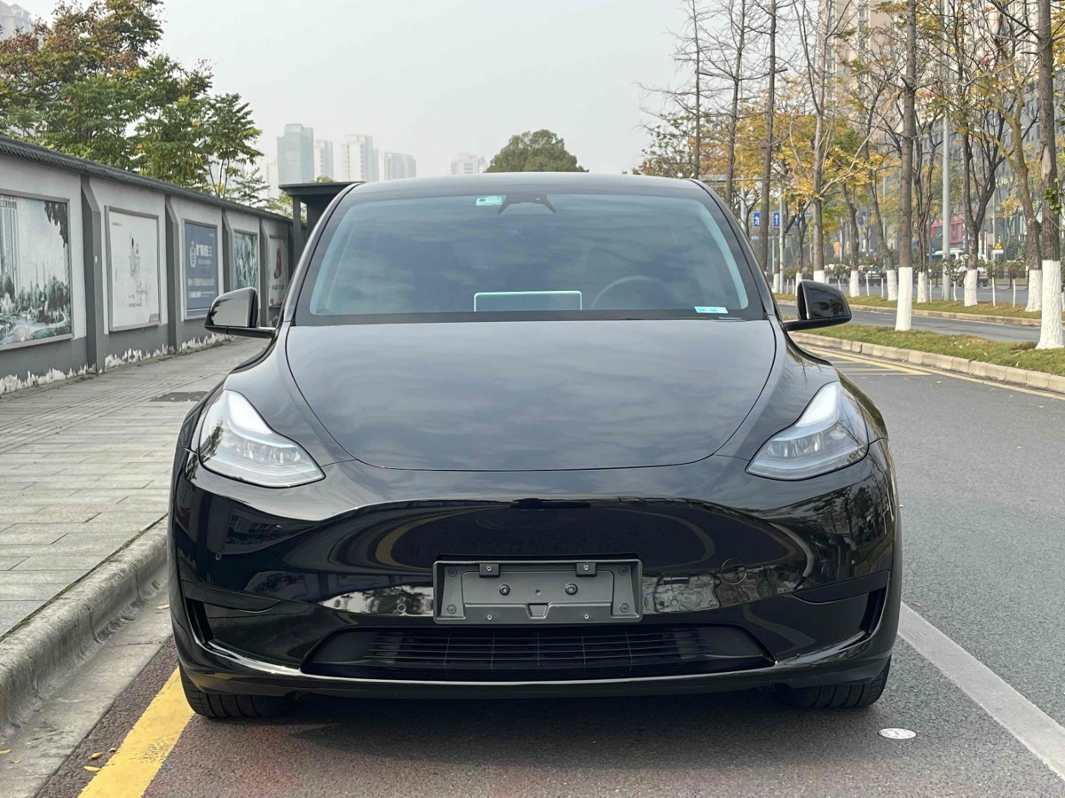 特斯拉 Model 3  2020款 改款 長續(xù)航后輪驅(qū)動版圖片