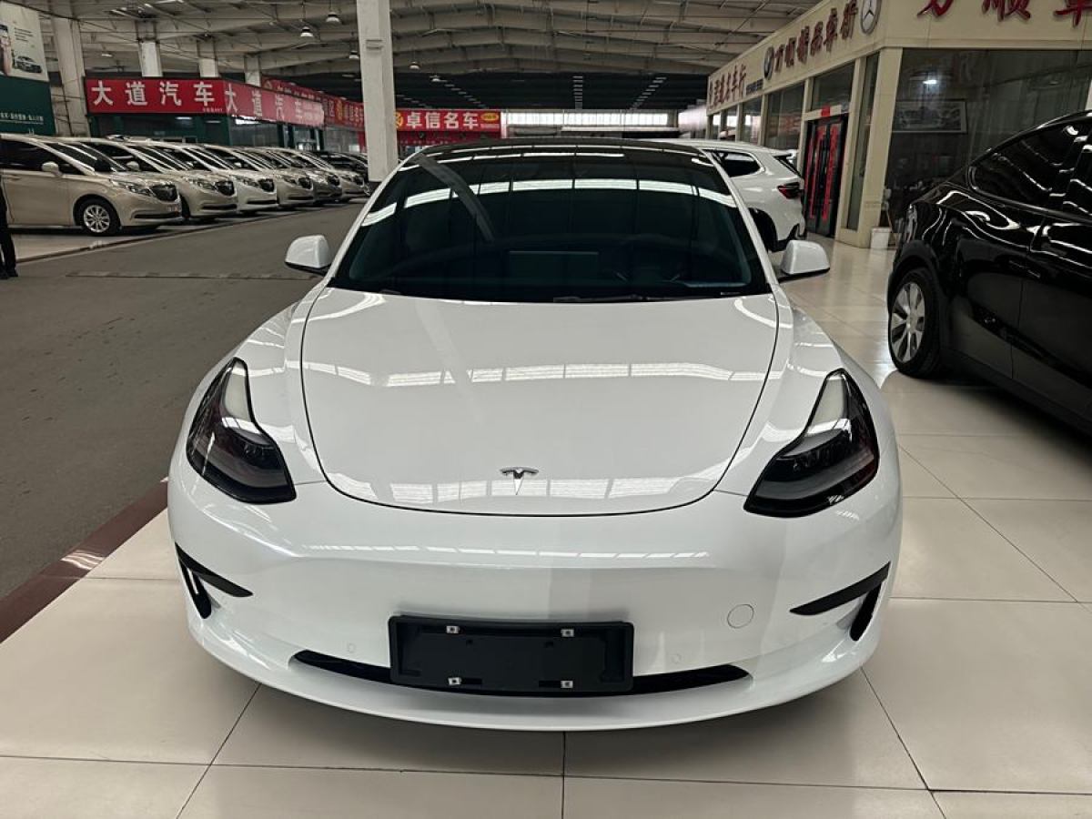 特斯拉 Model 3  2021款 改款 標(biāo)準(zhǔn)續(xù)航后驅(qū)升級(jí)版圖片