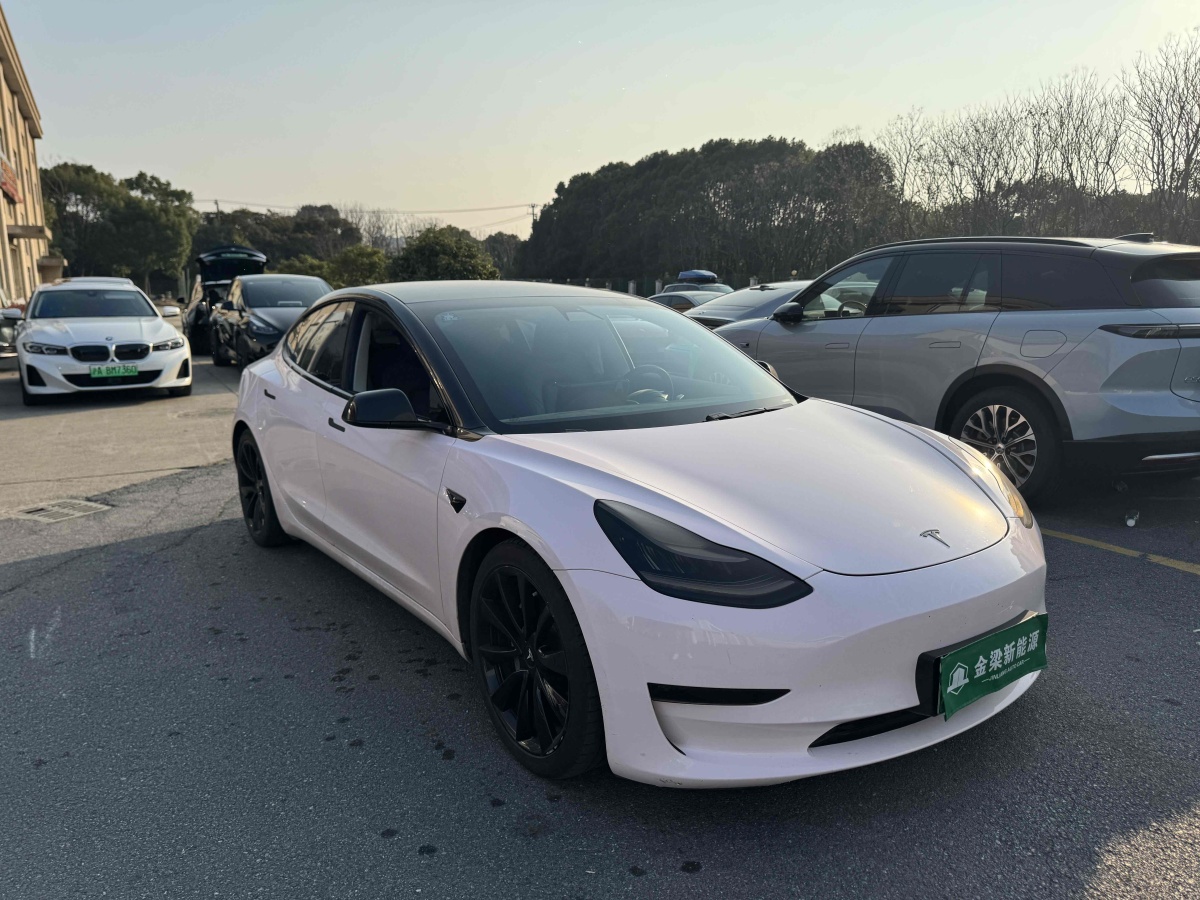 特斯拉 Model 3  2020款 改款 長(zhǎng)續(xù)航后輪驅(qū)動(dòng)版圖片