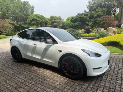特斯拉 Model Y  2021款 Performance高性能全輪驅(qū)動(dòng)版圖片