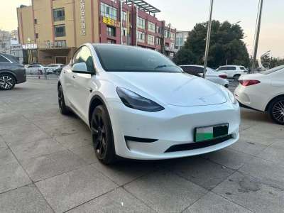 2023年6月 特斯拉 Model Y 后輪驅(qū)動(dòng)版圖片