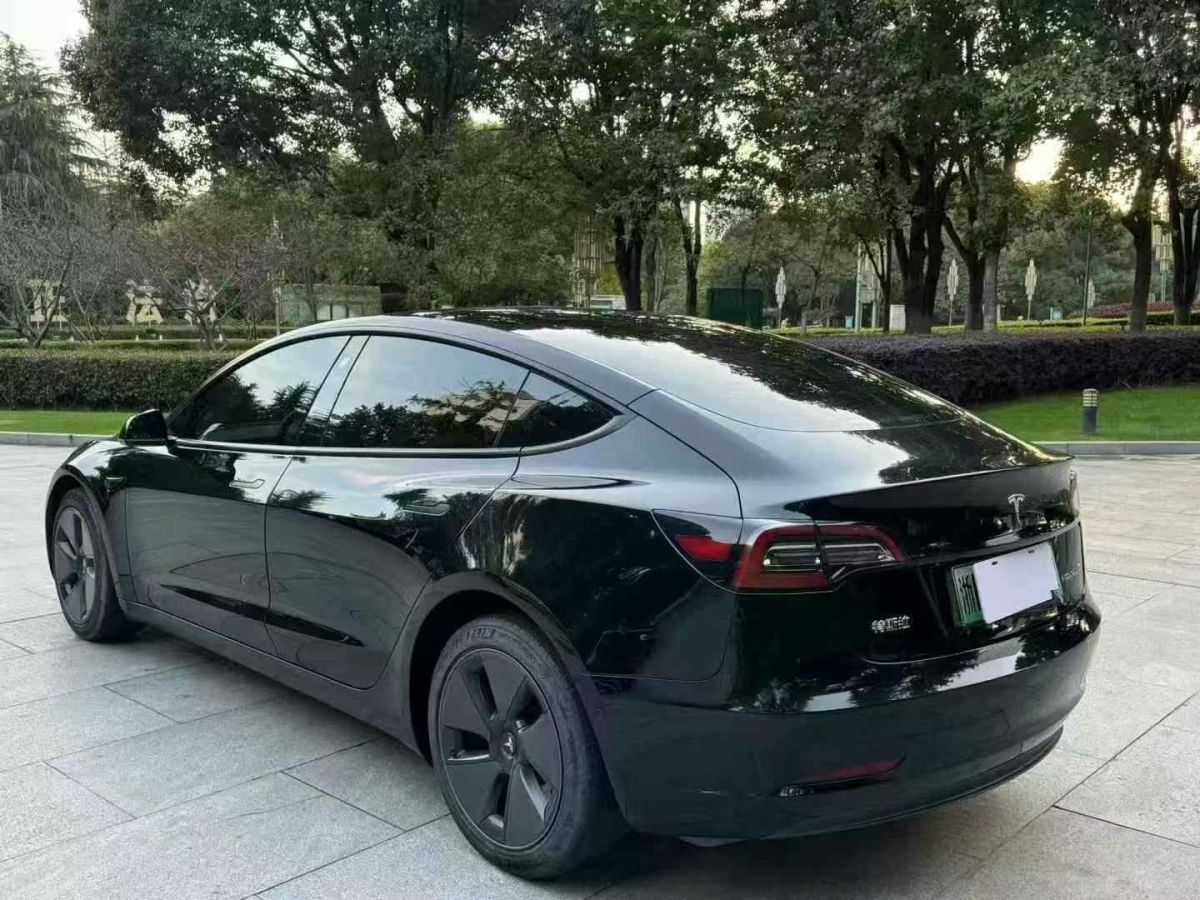 特斯拉 Model X  2020款 Performance 高性能版圖片