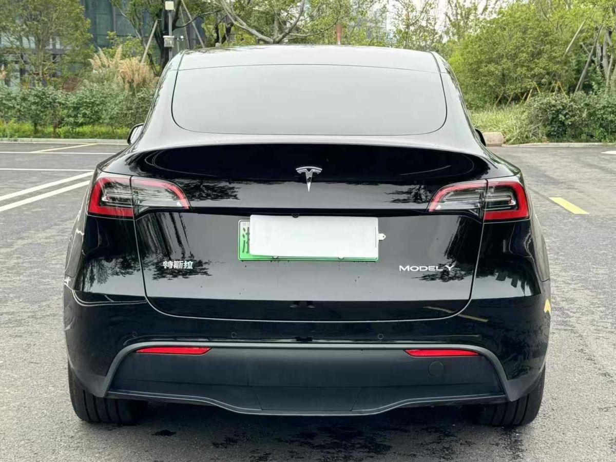 特斯拉 Model Y  2024款 Performance高性能版圖片