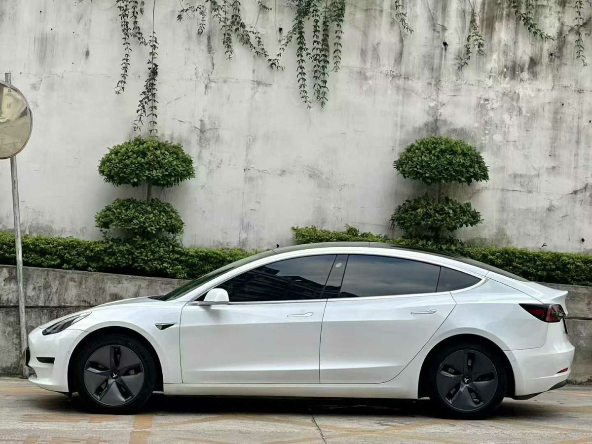 特斯拉 Model 3  2020款 標準續(xù)航后驅升級版圖片