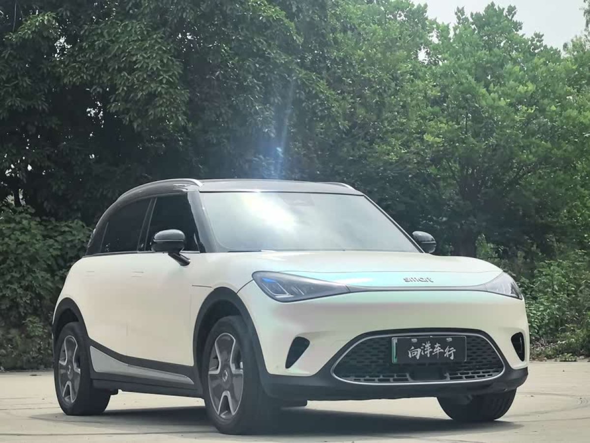 smart smart精靈#1  2022款 Pro+版圖片