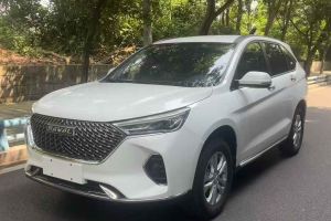 M6 哈弗 PLUS 1.5T DCT尊貴智聯(lián)型