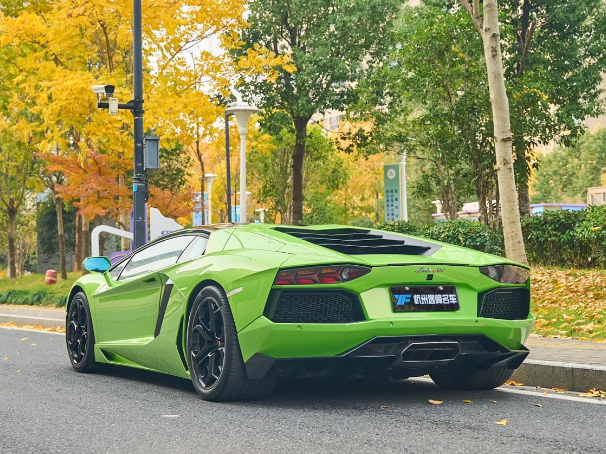 2014年9月蘭博基尼 Aventador  2011款 LP 700-4