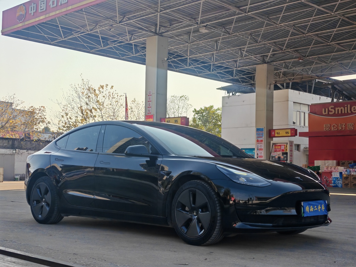 特斯拉 Model 3  2021款 標(biāo)準(zhǔn)續(xù)航后驅(qū)升級版 3D6圖片