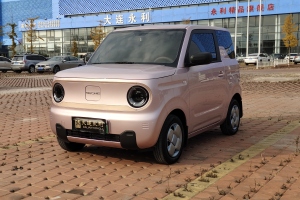 熊猫mini 吉利 200km 耐力熊