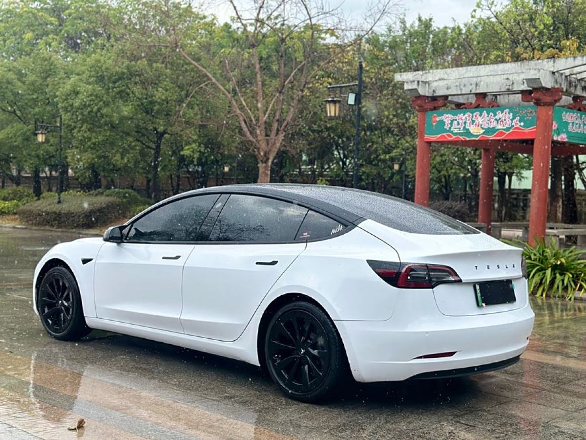 特斯拉 Model 3  2021款 標準續(xù)航后驅升級版 3D6圖片