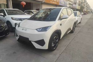 海鷗 比亞迪 305km 活力版