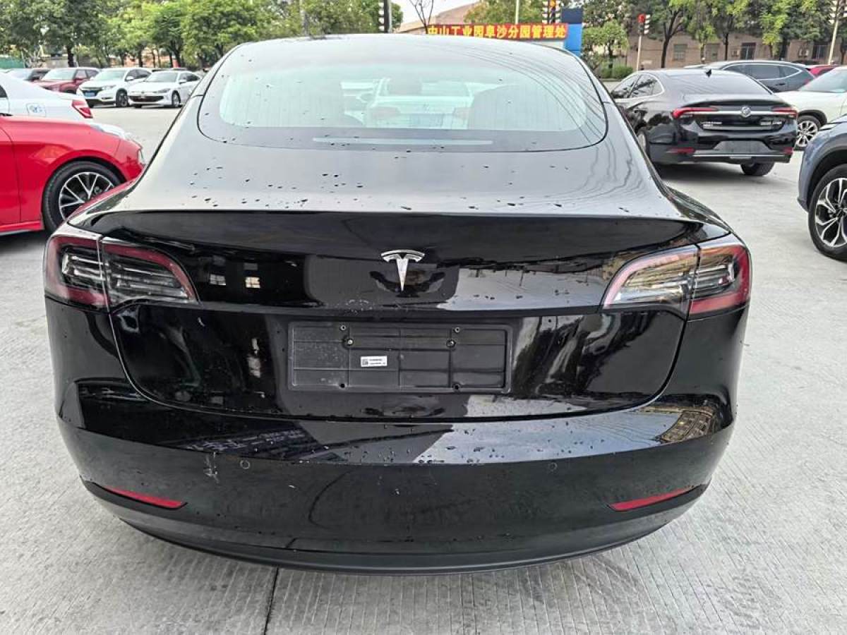 特斯拉 Model Y  2020款 改款 標準續(xù)航后驅升級版圖片