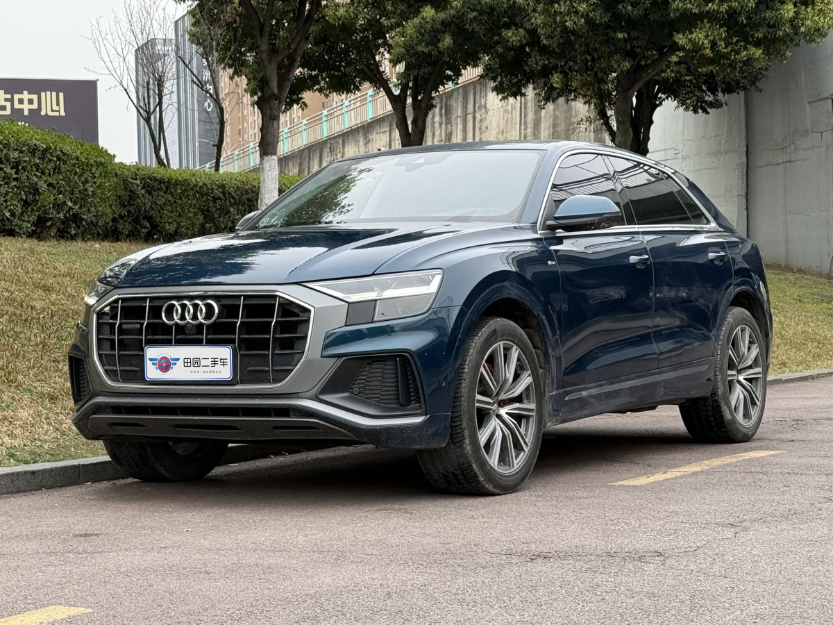 2021年1月奧迪 奧迪Q8  2019款 45 TFSI 豪華致雅型