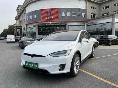 2021年1月 特斯拉 Model X 長(zhǎng)續(xù)航版圖片