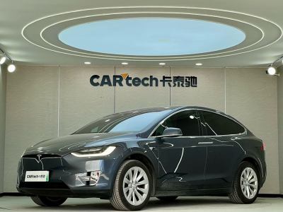 2020年1月 特斯拉 Model X 長(zhǎng)續(xù)航版圖片