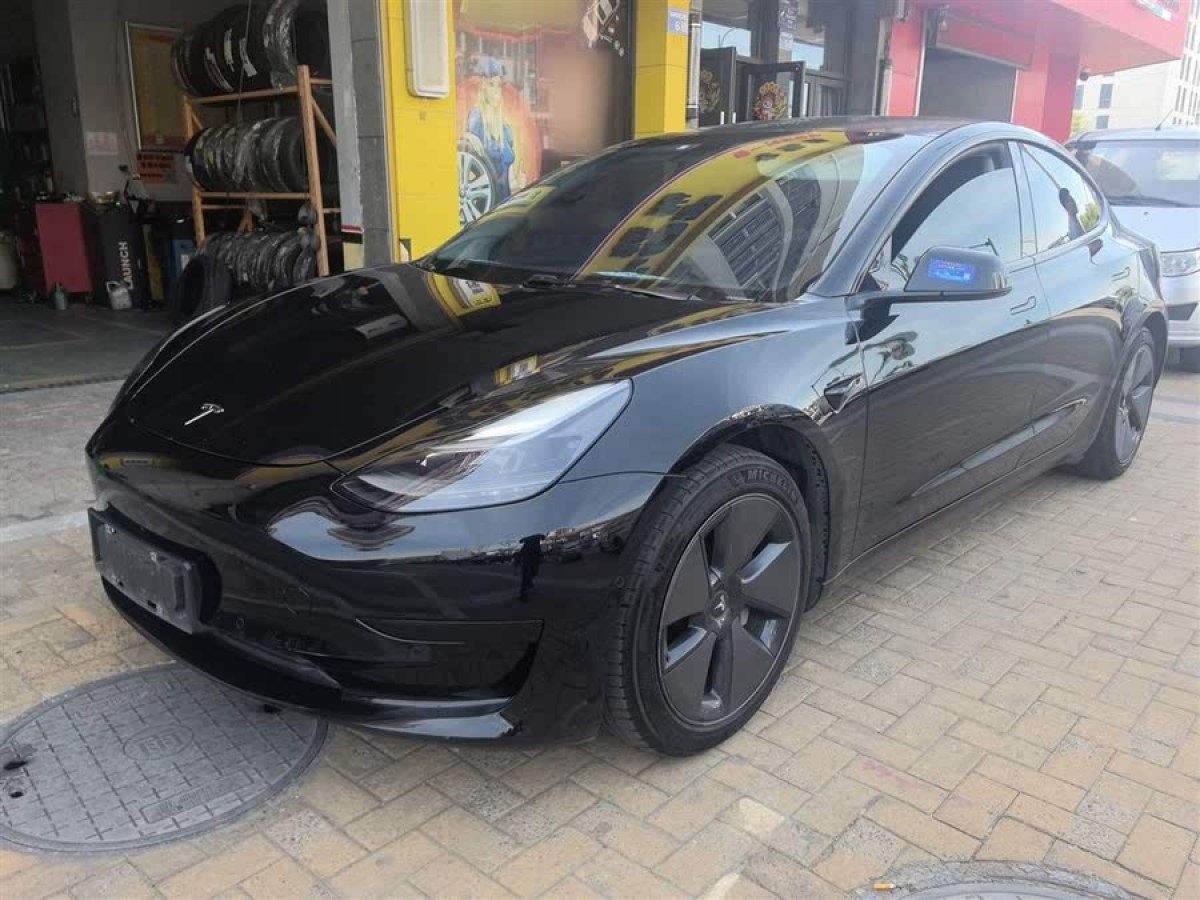 特斯拉 Model 3  2021款 標(biāo)準(zhǔn)續(xù)航后驅(qū)升級(jí)版 3D6圖片