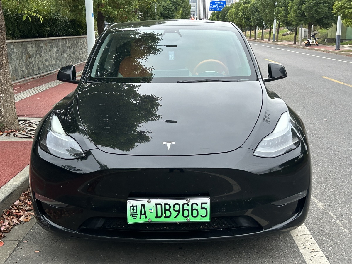 特斯拉 Model 3  2021款 長續(xù)航全輪驅(qū)動版 3D7圖片