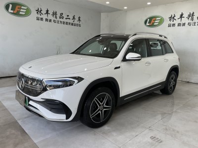 2022年2月 奔馳 奔馳EQB EQB 350 4MATIC 首發(fā)特別版圖片