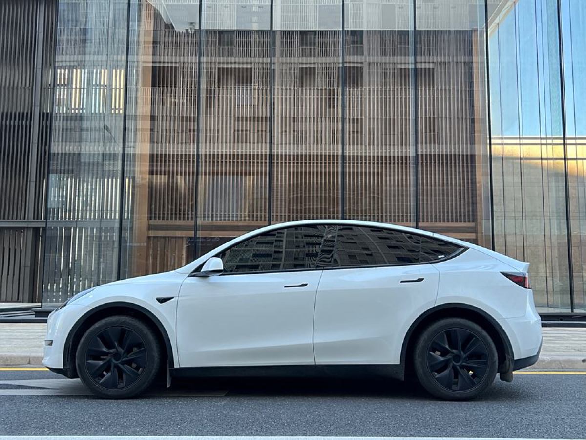 特斯拉 Model Y  2024款 長續(xù)航全輪驅(qū)動版圖片