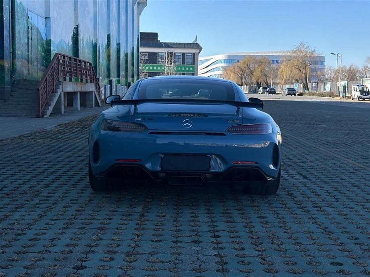 奔馳 奔馳AMG GT  2019款 AMG GT R圖片