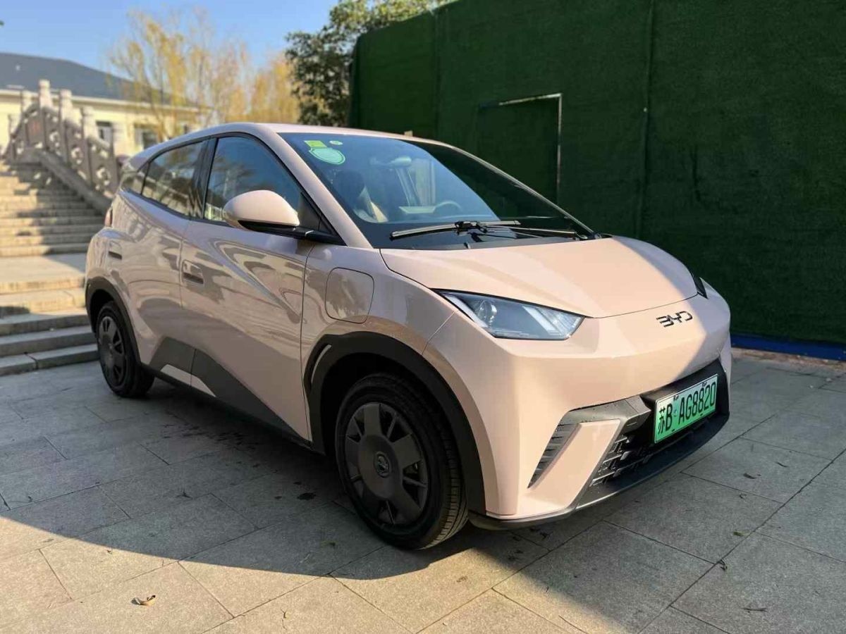 比亞迪 宋L DM-i  2024款 112km 超越型圖片