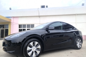 Model Y 特斯拉 改款 后輪驅(qū)動(dòng)版