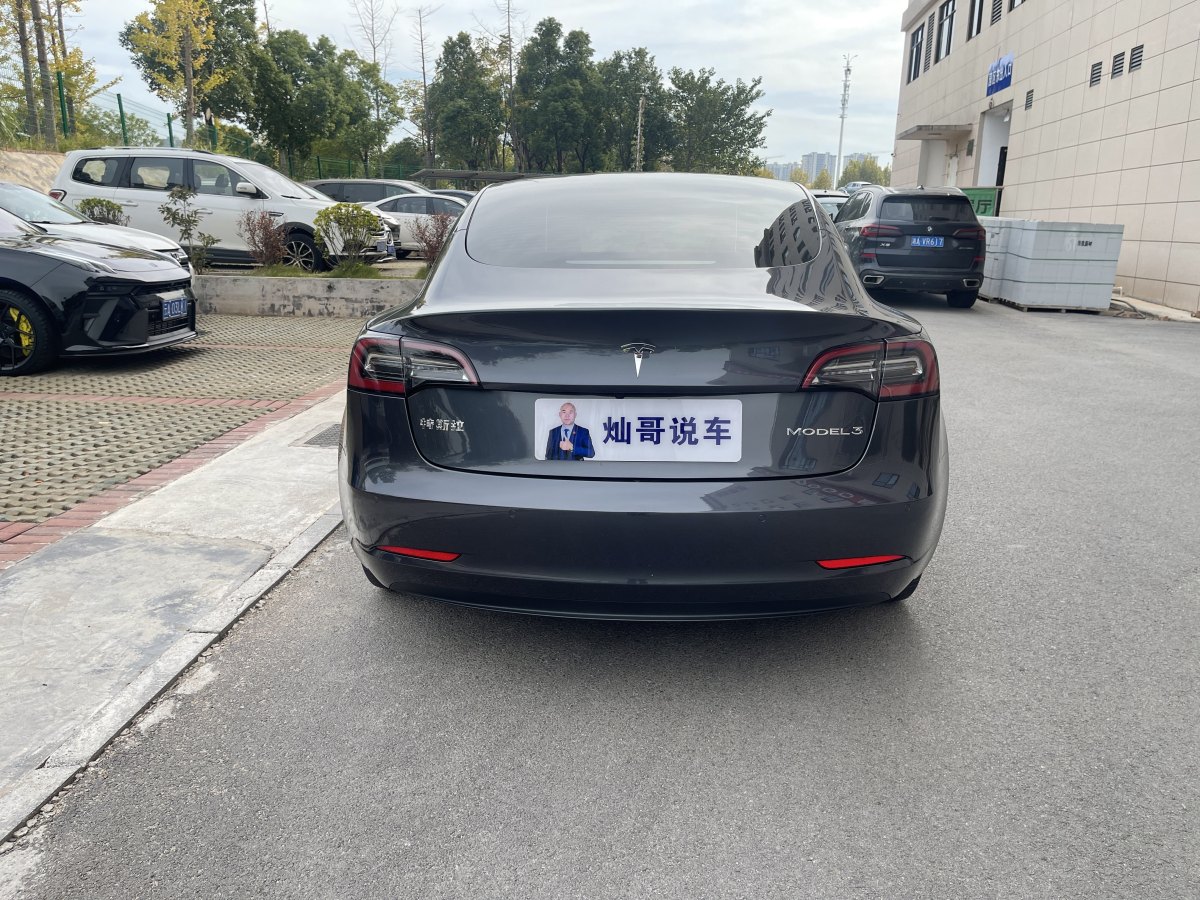 特斯拉 Model 3  2019款 標(biāo)準(zhǔn)續(xù)航后驅(qū)升級版圖片