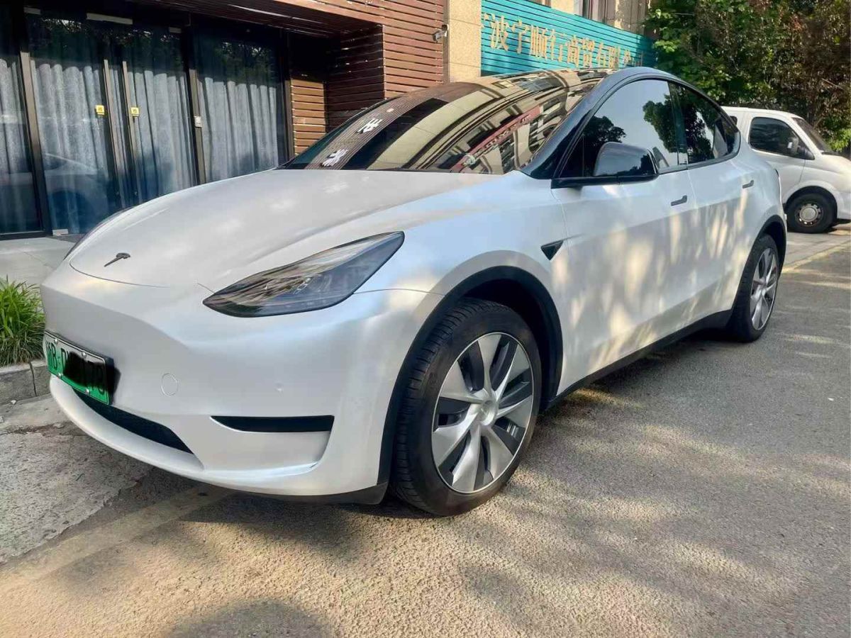 特斯拉 Model Y  2022款 Performance高性能全輪驅(qū)動(dòng)版圖片
