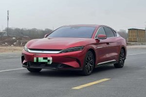 漢 比亞迪 EV 創(chuàng)世版 610KM四驅(qū)尊享型