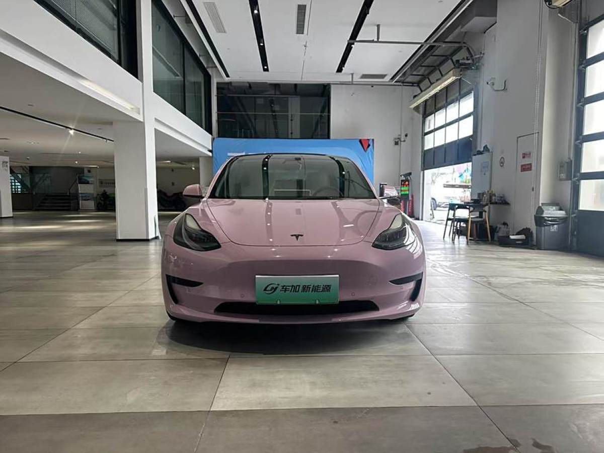 2021年12月特斯拉 Model 3  2021款 標(biāo)準(zhǔn)續(xù)航后驅(qū)升級(jí)版 3D6